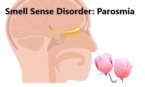 Smell Sense Disorders: Parosmia. Symptoms and treatment