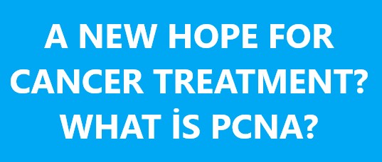 PCNA AND CANCER TREATMENT